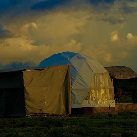 Amanya 1-Bed Leopard Tent 암보셀리 외부 사진