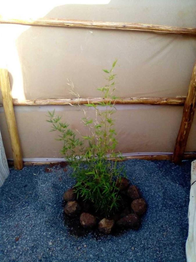 Amanya 1-Bed Leopard Tent 암보셀리 외부 사진
